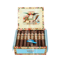 Load image into Gallery viewer, Paradiso Revelation Odyseey