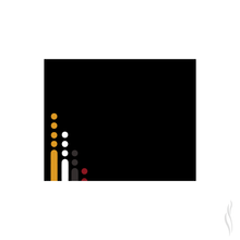 Load image into Gallery viewer, Parejo Cigar Humidor Black And Stripes Design