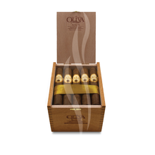 Load image into Gallery viewer, Oliva Serie G Double Robusto