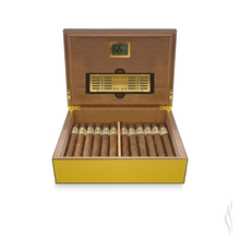 Load image into Gallery viewer, Parejo Cigar Humidor Salsa Dance Yellow Design