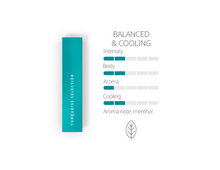 Load image into Gallery viewer, HEETS Turquoise Selection