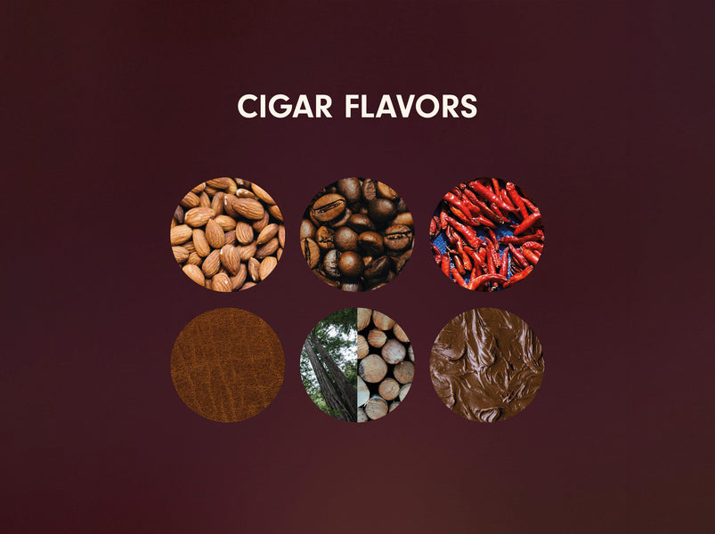 What Flavor Profiles Should You Look for In Your Next Cigar?