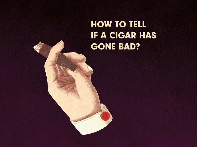 How To Tell If A Cigar Has Gone Bad and What To Do